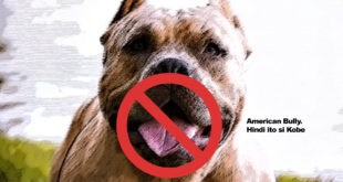 Valenzuela LGU kinondena karumal-dumal na pagputol sa dila ng American Bully