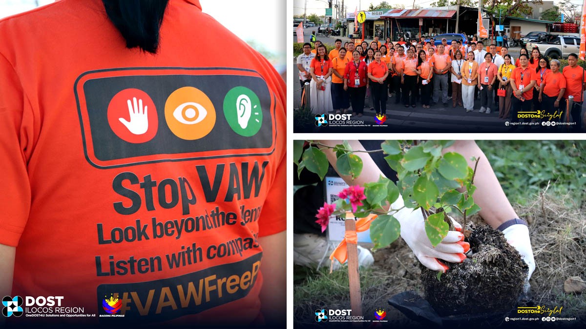 DOST Ilocos VAW