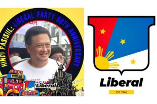 Erin Tañada Liberal