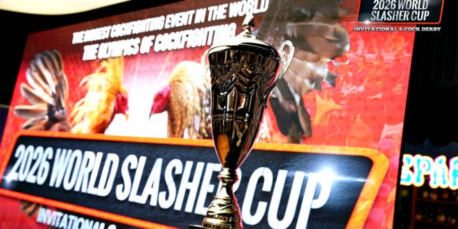 20 entries pasok sa grand finals ng 2026 World Slasher Cup