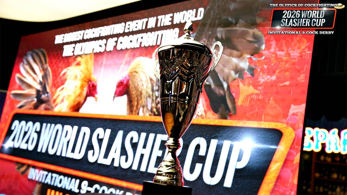 2026 World Slasher Cup