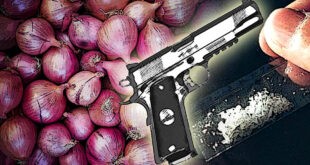 Prente lang pala  <br> Ahente kuno ng sibuyas timbog sa boga’t droga