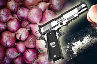 Onion Sibuyas Shabu Baril Gun