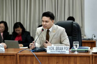 Brian Poe Llamanzares