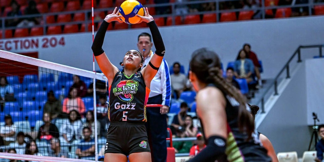 Jules Tolentino Nxled PVL