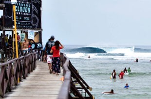 World Surf League WSL PSC