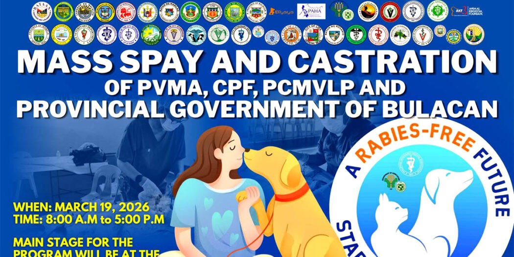 Bulacan spay castration Rabies Awareness Month