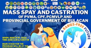 Bulacan PVO, pinangunahan ang nationwide spay at castration project ngayong Rabies Awareness Month