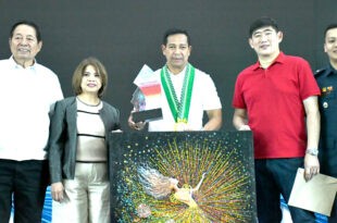 Daniel Fernando Bulacan PPMDAI fireworks safety