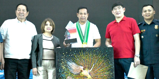 Daniel Fernando Bulacan PPMDAI fireworks safety