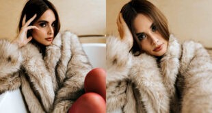 Max Collins