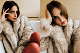 Max Collins