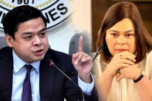 Terry Ridon Sara Duterte
