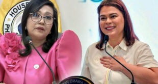 Gerville Jinky Bitrics Luistro Sara Duterte