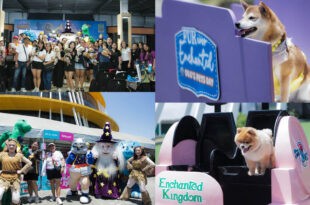 Enchanted Kingdom EK Furever Enchanted Oggs Pets Day