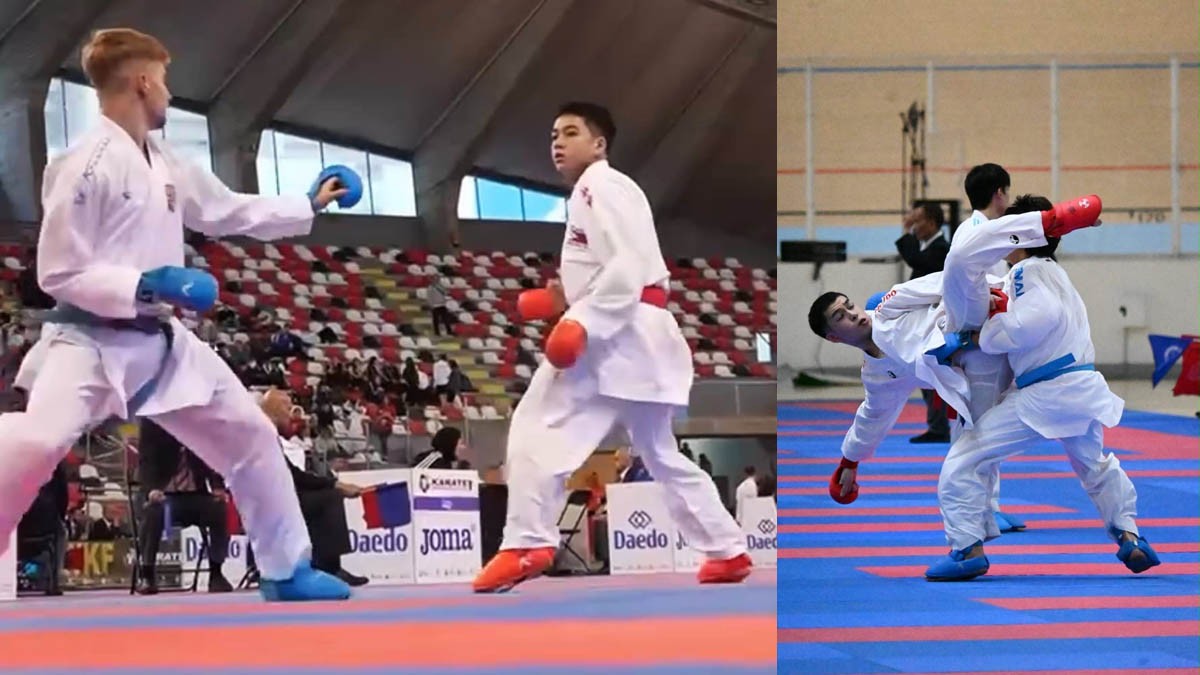 World Karate Federation WKF