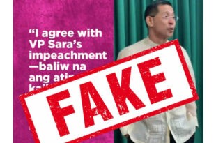 Lenlen Oreta AI generated fake news