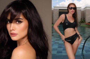 Max Collins
