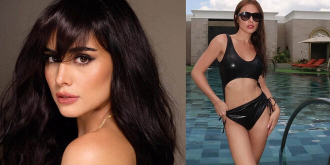 Max Collins