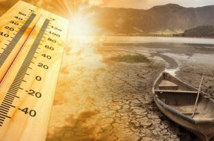 Hot Heat Sun Dry Land El Nino