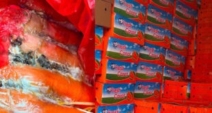 P7-M smuggled carrot noodles DA BOC