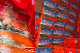 P7-M smuggled carrot noodles DA BOC