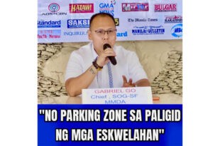 Gabriel Go MMDA No Parking