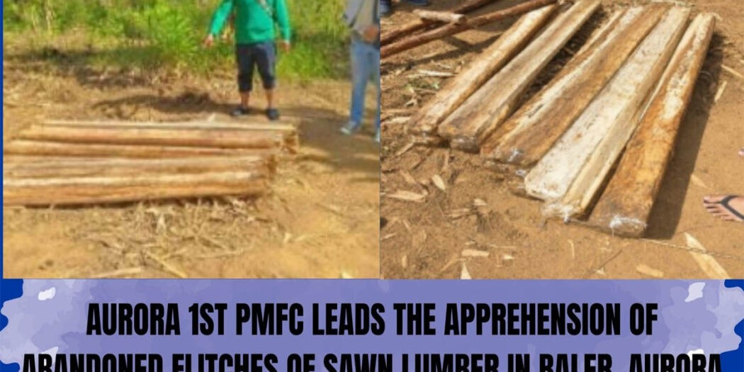 Baler Aurora illegal logging