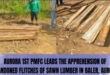 Baler Aurora illegal logging