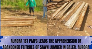 Sa Aurora <br> Abandonadong tabla mula sa illegal logging nasamsam