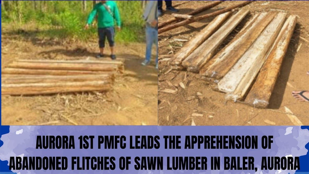 Baler Aurora illegal logging