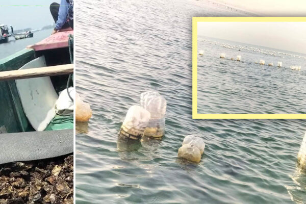 Sigalot sa hangganan   Tahungan sa Manila Bay giniba ng Cavite City LGU