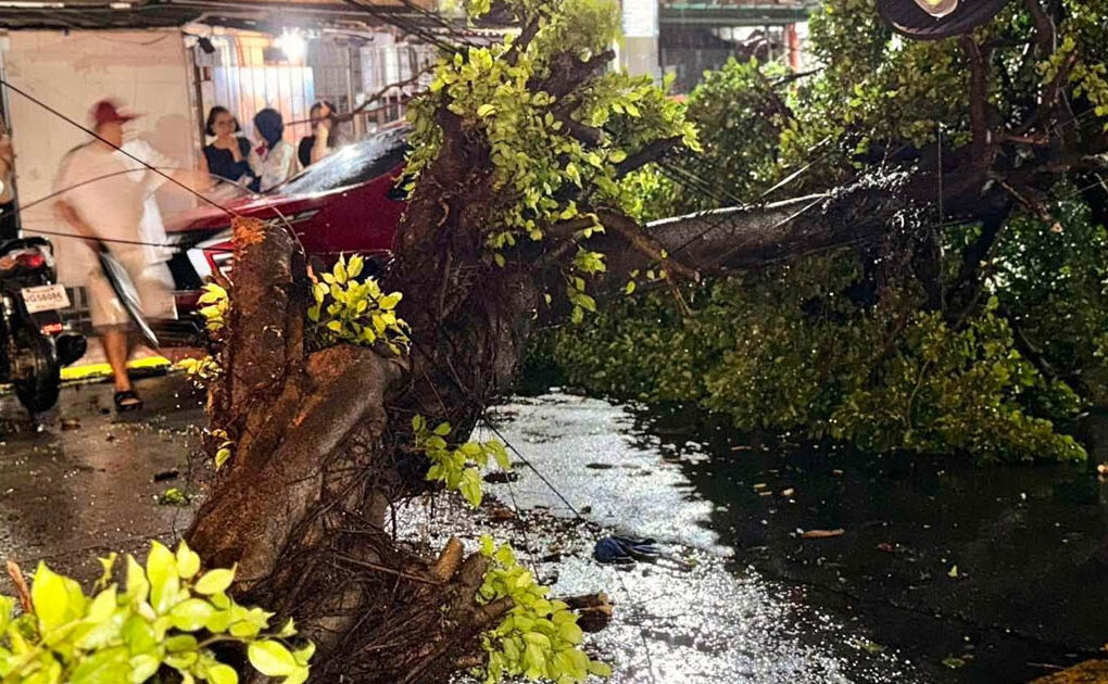 Puno natumba rider nadaganan Don Quijote St Sampaloc Maynila