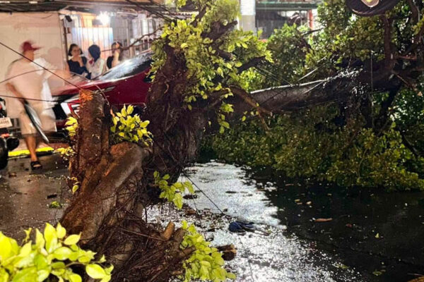 Puno sa Maynila natumba rider nadaganan, sugatan