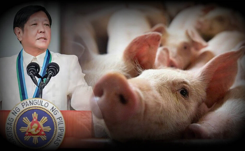 BBM Pig Baboy