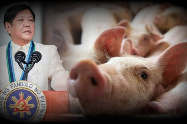 BBM Pig Baboy