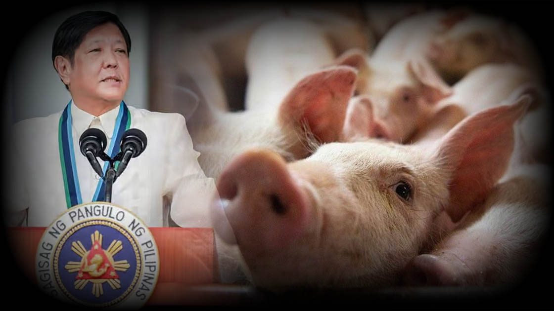 BBM Pig Baboy