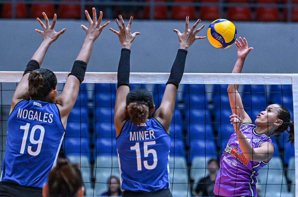 Sisi Rondina PVL AFC 2026 Choco Mucho vs Zus