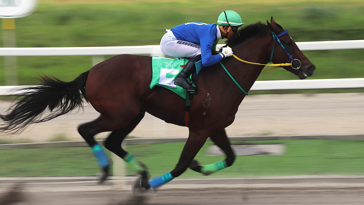 Rags Bell, kampeon sa PCSO Juvenile Stakes